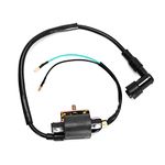 Zreneyfex 12 V Ignition Coil for 50cc 70cc 90cc 110cc 125cc ATV Scooter Moped Go Kart Dirt Bike