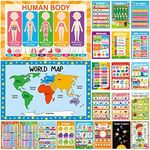 22 Pcs 11" x 17" Educational Poster