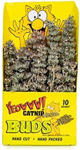 Yeowww Natural Powerful Catnip Buds for Indoor and Outdoor Cats - Naturally Grown in North America - Very Strong Catnip Buds- Your Cats Will Love to Eat Them