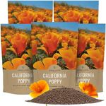 Bulk California Orange Poppy Wildfl