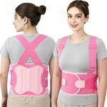 Lifting Support Back Brace for Men Wmen Heavy Duty Work Belt Pink, X-Large