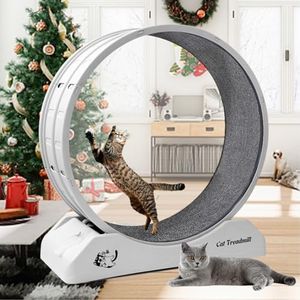 homegroove Cat Exercise Wheel, 31.5 Inch Cat Wheels for Indoor Cats, Cat Treadmill Wheel Exerciser with Carpeted Runway, Cat Running Wheel for Cats Daily Exercise and Weight Loss, Plastic Cat Wheel