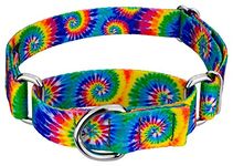 Country Brook Petz - Classic Tie Dye Martingale Dog Collar - Groovy Collection featuring Far Out Designs (1 Inch, Large)