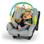 Baby Einstein Flex N Go Activity Arch Take-Along Toy