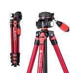 Fotopro 152cm Travel Video Tripod Tilt Head lightweight tripod with Quick Release Plate Carry bag for Phone DSLR Camera Max Load Up 3kg