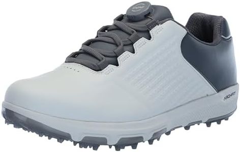 Skechers Men's Pro 6 Waterproof Golf Shoe Sneaker, Light Gray Twist Fit, 8