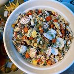 Andaxe 400 Pieces with 12 Types of mini Natural Seashells, Seashells, sea Stars, Glass Sand, DIY Material, for Decorative Collection Gifts (1000)