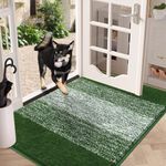 Vaukki Indoor Doormat Entryway Door Rug, Non Slip Absorbent Mud Trapper Mat Inside Floor Mat, Washable Small Door Carpet for Entryway (36''x59'', Green)