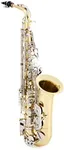 Selmer SAS201 Student Alto Saxophon