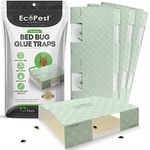 Bed Bug Trap