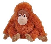 Wild Republic 12296 Female Orangutan Plush, Cuddlekins Cuddly Soft Toys, Kids Gifts,Brown,20 cm