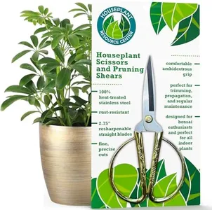 Premium Houseplant Scissors and Pruning Shears - Comfortable Grip Garden and Plant Clippers, Trimmers, Loppers, Flower Cutters, Made from 100% Stainless Steel