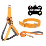 PAYTON PERRY Personalized No Pull Dog Harness Leash Collar for Small Medium Large Dogs | with Custom Name Tag | Soft Padded, Adjustable (Recommended for 24-35KG Pet) (Large, Orange-Black)