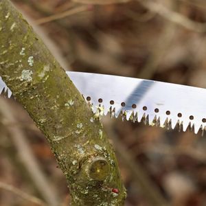 Walensee Pole Saw, 426cm Extendable Tree Pruner