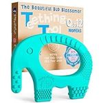 Teething Toys for Babies Age 0 to 1