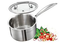 DELARLO Stainless Steel Saucepan with Lid 2.0 litre 16cm, Induction Cooking Sauce Pot Sauce Pans, 18/8 Tri-Ply Stainless Steel Heavy Bottom Saucier Pot Cookware