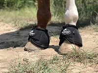 Horse Boots