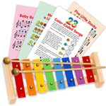 Xylophone Glockenspiel for Children 22 Songs Included