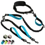 SparklyPets Hands Free Double Dog Leash – Dual Dog Leash for Medium and Large Dogs – Dog Leash for 2 Dogs with Padded Handles, Reflective Stitches, No Pull, Tangle Free (Blue, for 2 Dogs)