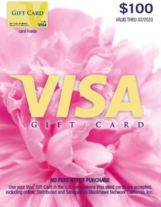 Visa $100 Gift Card (plus $5.95 Purchase Fee)