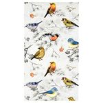 100 Bird Guest Napkins 3 Ply Disposable Paper Pack Colorful Birds Dinner Hand Napkin for Bathroom Powder Room Wedding Anniversary Holiday Birthday Spring Tea Party Bridal Baby Shower Decorative Towels