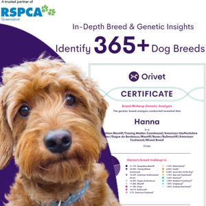 ORIVET GenoPet Plus Dog DNA Test – Breed & Health Screening Kit