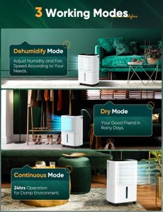 Home Dehumidifier 12L – Quiet Operation for Bedrooms and Living Rooms