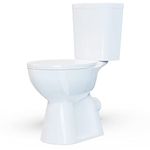 Simple Project 19inch Tall Toilet | Round Toilets 1.28GPF Powerful Dual Flush | Rear Outlet Toilet, High Toilets For Seniors, Disabled & Tall Person