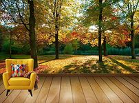 Avikalp Exclusive Awi7769 Tree Park Sunlight Long Shadows Autumn Color HD Wallpaper(426cm x 304cm)