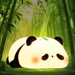 CooPark Cute Panda Night Light for 