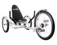 Recumbent Trike For Seniors