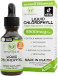 Benevolent Nourishment Chlorophyll Supplement, Detox & Immune Support, Internal Deodorizer, Liquid Drops