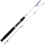 2 Piece Fishing Rod