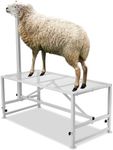 VEVOR Goat Milking Stand - 47x23 inch Metal Livestock Shearing Stand, Adjustable Height 21" to 33", with Headpiece and Nose Loop, 500lbs Capacity, Perfect for Sheep and Goats, White