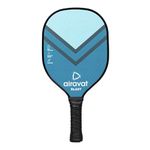 Airavat Blast Pickleball Paddle Racket Set Pack of 2 Pcs Pickle Paddle, 1 Pc Bag & 2 Pcs Pickle Balls for Men & Women, Wooden, Lightweight, Comfort Cushion Grip