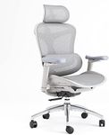 2023 SIHOO Doro C300 Ergonomic Offi