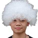 Fancydresswale wig for kids and Adults for role play and fancy dress parties one size fits all (White)