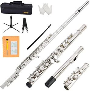 VANPHY Closed Hole C Flute 16 Keys Nickel-Plated Flutes For Beginners Student Flute Instrument With Case Stand Cleaning Cloth Gloves Tuning Rod (Silver)