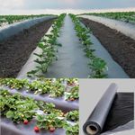 GreenTech Mulching Sheet 3.25 Feet x 30 Micron | Biodegradable | Weed Control | Garden Landscaping | UV Resistant | Eco-Friendly Agricultural Mulching