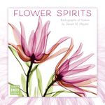 Flower Spirits 2025 Wall Calendar — Radiographs of Nature by Steven N. Meyers, 12" x 12"