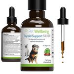 Thyroid For Dogs