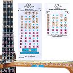 Fantastic Finger Guide for Ukulele - Music Accessories, Fretboard and Fingerboard Stickers for Learning Notes, Learn to Play Ukulele, Frets 1-24