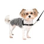 PetSafe Easy Walk No-Pull Dog Harness - The Ultimate Harness to Help Stop Pulling - Take Control & Teach Better Leash Manners - Helps Prevent Pets Pulling on Walks - Petite/Small, Black