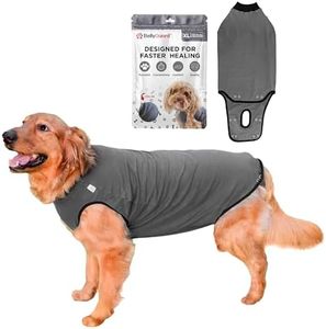 BellyGuard