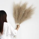 YiYa Brown Pampas Grass Fluffy 6 Pc