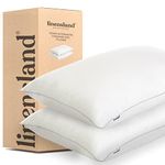 Down Alternative Pillows