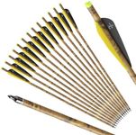 S F Outdoors Carbon Crossbow Arrows