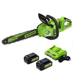 Greenworks 2 x 24V (48V) 14" Brushless Chainsaw, (2) 4Ah USB Batteries and Dual Port Charger, Green, CS48L4410