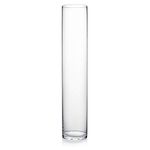 WGV Clear Cylinder Glass Vase, 3 by 16-Inch