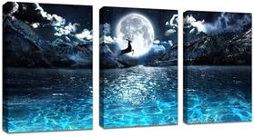 FajerminArt 3 Panels Framed Canvas 